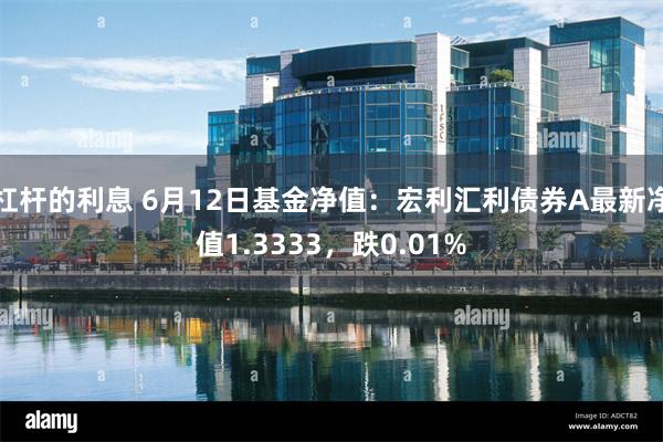 杠杆的利息 6月12日基金净值:宏利汇利债券A最新净值1.3333,跌0.01%