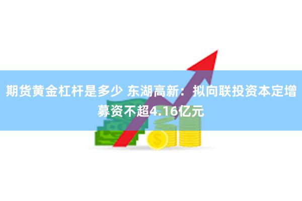 期货黄金杠杆是多少 东湖高新:拟向联投资本定增募资不超4.16亿元