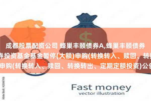 成都股票配资公司 蜂巢丰颐债券A,蜂巢丰颐债券C: 蜂巢丰颐债券型证券投资基金基金暂停(大额)申购(转换转入、赎回、转换转出、定期定额投资)公告