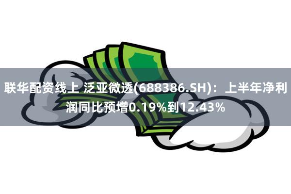 联华配资线上 泛亚微透(688386.SH):上半年净利润同比预增0.19%到12.43%