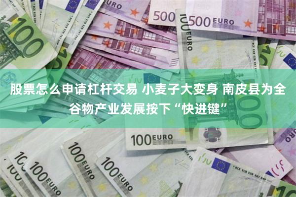 股票怎么申请杠杆交易 小麦子大变身 南皮县为全谷物产业发展按下“快进键”