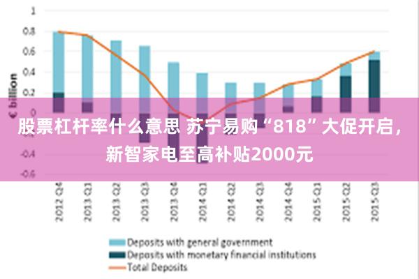 股票杠杆率什么意思 苏宁易购“818”大促开启，新智家电至高补贴2000元